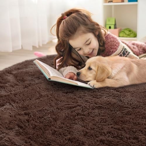 Coffee Round Rugs for Bedroom (3 Ft Round / Coffee)