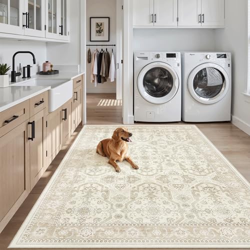 4x6 Area Rug for Living Room (Beige/Brown / 4' x 6' (Rectangular))