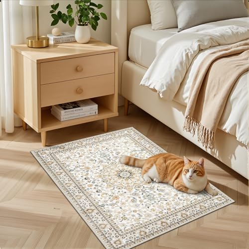 2x3 Area Rugs Living Room (Beige / 2' x 3' (Rectangular))