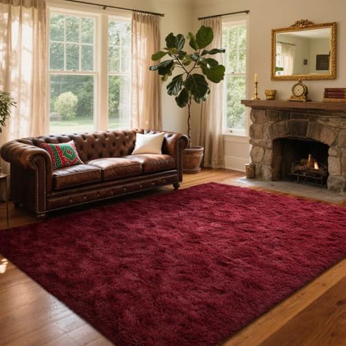 Area Rugs for Living Room (Ad Burgundy / 5' X 7' (Rectangular))