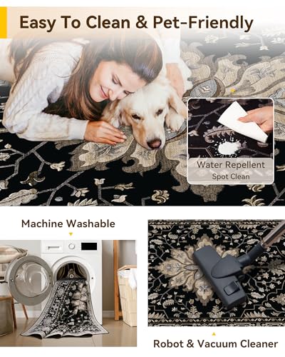 Washable Area Rug (Black/Neutral / 3' x 6' (Rectangular))