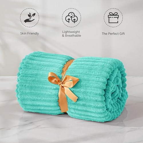 3D Ribbed Jacquard Aqua Fleece Throw Blanket for Couch (Aqua / Throw(50"x60"))