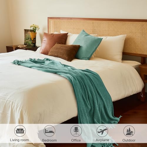 Throw Blanket for Couch (J-aqua / 60*80'')