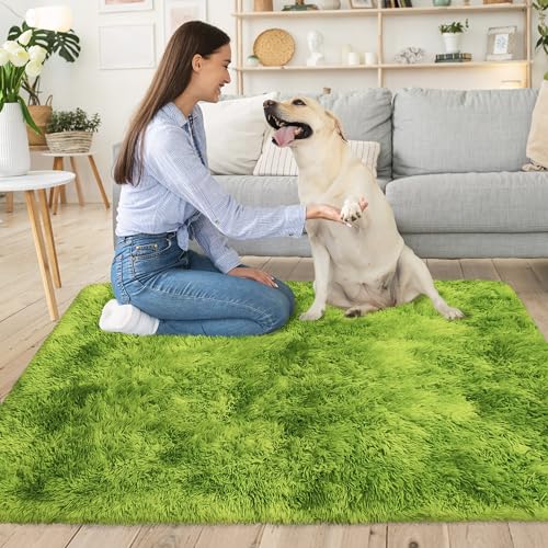 Small Tie Dyed Area Rug for Bedroom 3x5 Mini Green Fluffy Rug Mat Bedside Throw Rug for Kids Room Boys Teens Nursery Baby Dorm Living Room Home Decor Aesthetic Carpets (Tie-dyed Green / 3' x 5' (Rectangular))