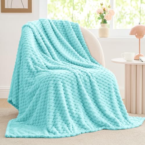 Aqua Twin Blanket for Couch (Aqua / Twin(60"x80"))