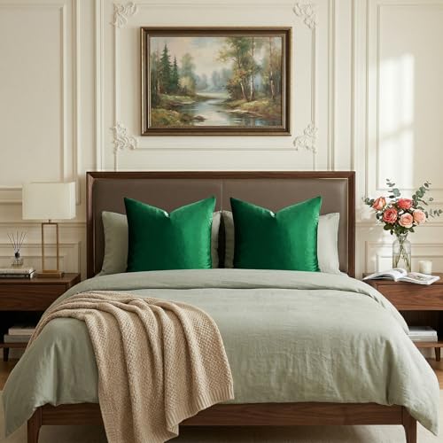 Green Velvet Pillow Covers 18x18 Decorative Pillows Pack of 2 (Forest Green / 18" x 18" (Pack of 2))