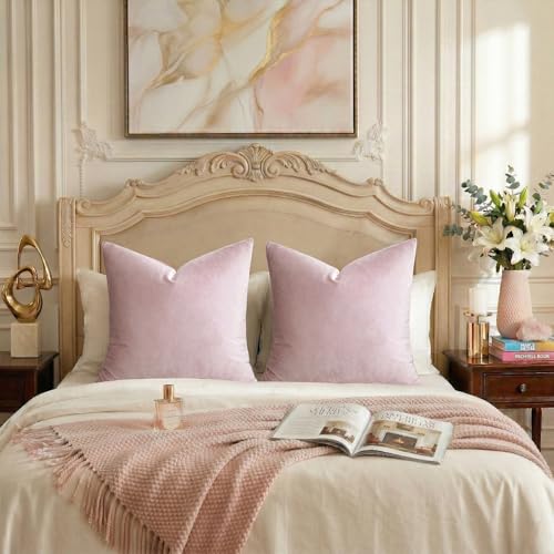 Sweet Lilac Velvet Throw Pillow Covers 24x24 Pack of 2 (Sweet Lilac / 24" x 24" (Pack of 2))