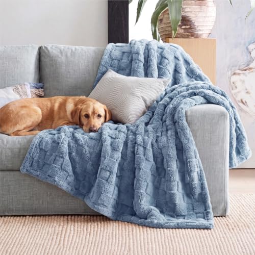 Checkered Soft Cozy Twin Blanket for Bed (02 Ashley Blue / Twin (60" X 80"))