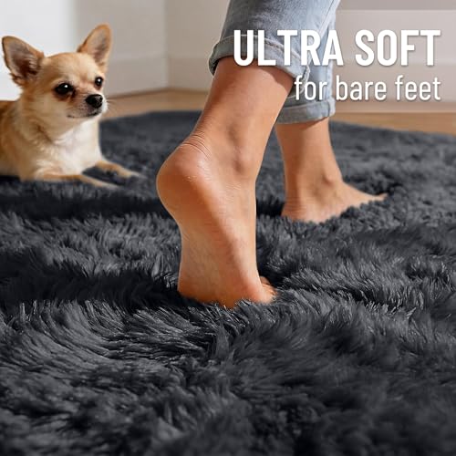 7x7 Machine Washable Large Area Rugs for Living Room (7x7 Ft Square / Black)