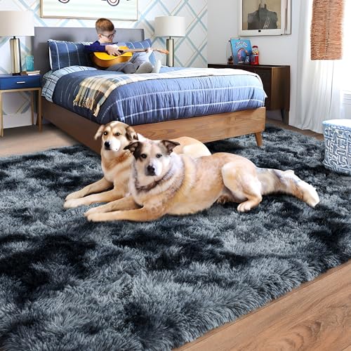 Rugs for Living Room 5x7 (5' x 7' (Rectangular) / Blue Grey)
