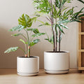 10 + 12 Inch Ceramic Plant Pots (White / 10"+12")
