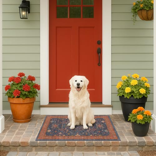 Washable 2x3 Entry Rug Front Door Indoor (2' x 3' (Rectangular) / Blue / Terracotta)