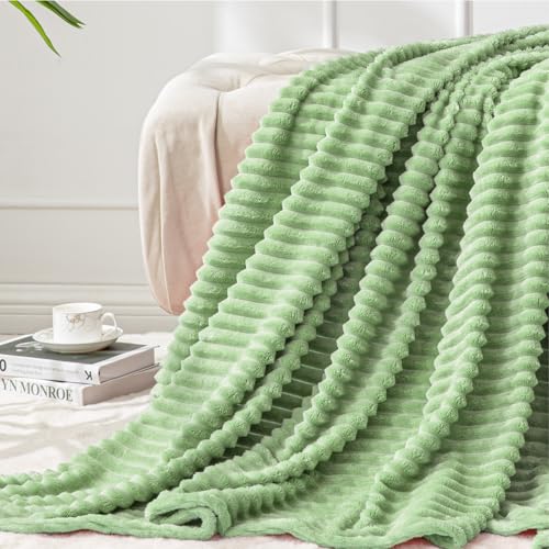 3D Ribbed Apple Green Fleece Twin Blanket for Couch (Apple Green / Twin(60"x80"))