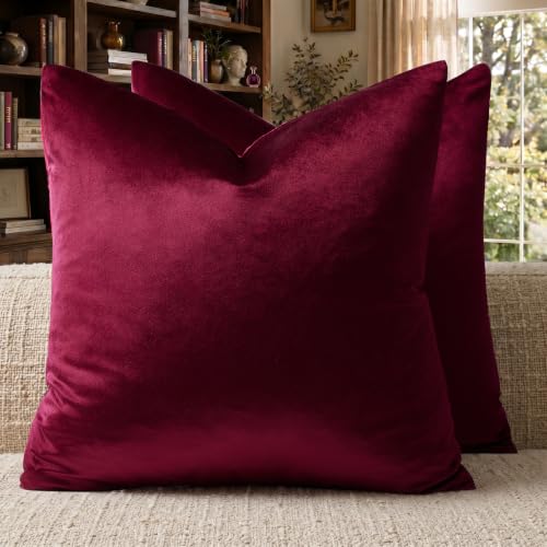 Burgundy Velvet Pillow Covers 20x20 Decorative Pillows Pack of 2 (Burgundy / 20" x 20" (Pack of 2))