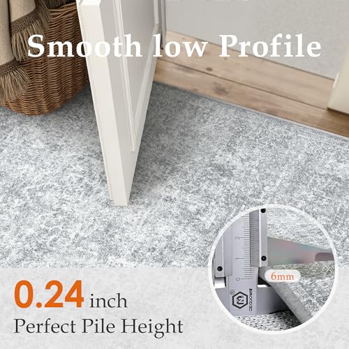 2x3 Entryway Area Rug Vintage Gray Distressed (Distressed Grey / 2' x 3' (Rectangular))
