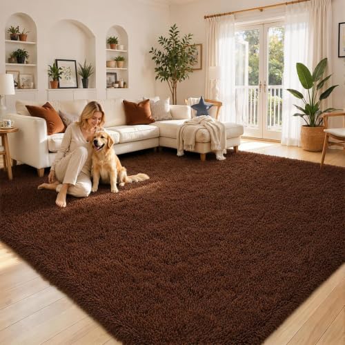 6x9 Shag Area Rug for Living Room
