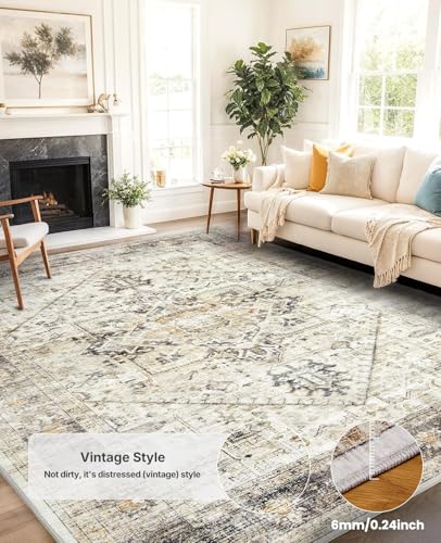 Amada Large 8x10 Washable Area Rug for Living Room (8' x 10' (Rectangular) / Grey/Beige)
