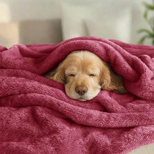 Fuzzy Plush Fleece Bed Blanket Twin XL Size (Deep Red / 90x66 IN)