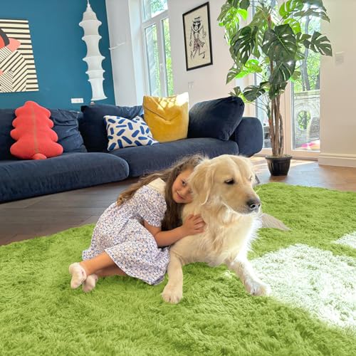 5x7 Machine Washable Large Area Rugs for Living Room (5x7 Ft / Grass Green)