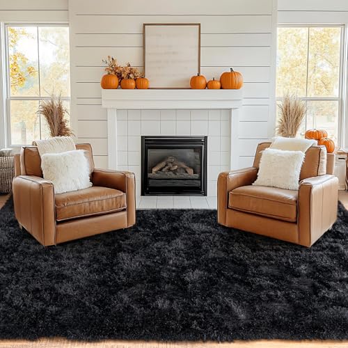 8x10 Rug for Living Room (Black / 8' x 10' (Rectangular))