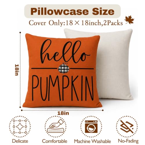 Fall Throw Pillow Covers for Home Strip Pumpkin Pillowcase 18x18 Set of 4 (Fall 01)