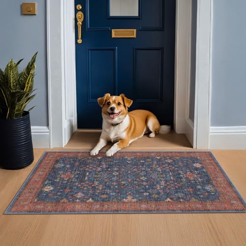 Large 3x5 Kitchen Rug Non Slip Machine Washable (3' x 5' (Rectangular) / Blue / Terracotta)