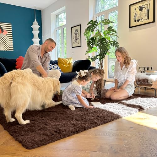 5x6 Area Rugs for Living Room Bedroom (5x6 Ft / Coffee)