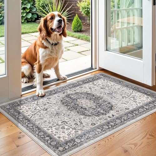 Washable 2x3 Entryway Area Rug (2' x 3' (Rectangular) / Grey)