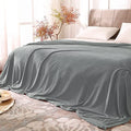 Fleece Blanket Soft Plush Queen Size Bed Blanket Grey 90"x90" (Grey / Queen(90"x90"))