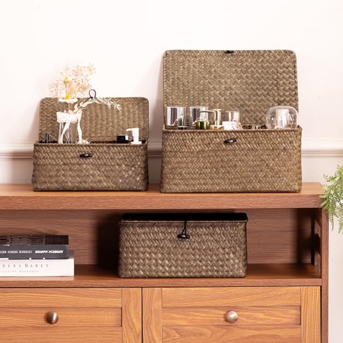 Small Wicker Basket with Lid (S-Coffee)