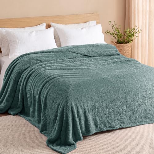 Fuzzy Plush Fleece Bed Blanket Twin XL Size (Celadon / 90x66 IN)