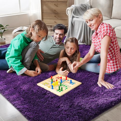 Shag Area Rugs for Bedroom Living Room