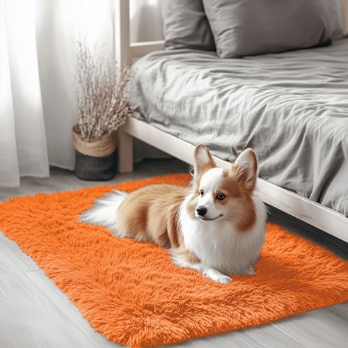 2x3 Machine Washable Small Bedside Rug (2x3 Ft / Orange)