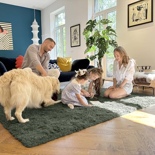 6x9 Machine Washable Large Area Rugs for Living Room (6x9 Ft / Olive Green)