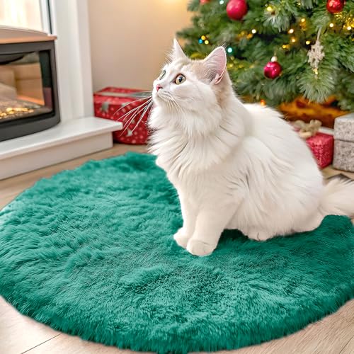 Teal Green Round Rugs for Bedroom (2 Ft Round / Teal Green)
