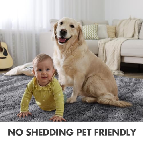 9x12 Ft Extra Large Shag Rugs for Living Room (Eb Grey 4sm03 / 9' X 12' (Rectangular))