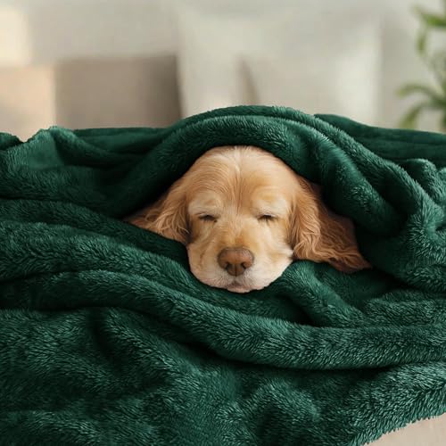 Fuzzy Plush Fleece Bed Blanket Twin XL Size (Forest Green / 90x66 IN)