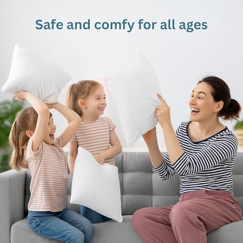 24x24 Throw Pillow Inserts Set of 2 (24x24 / 01: White)