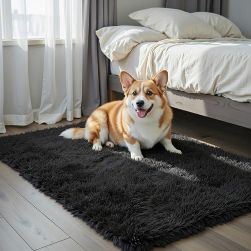 Small Shag Area Rug for Bedroom (Black / 2' x 3' (Rectangular))