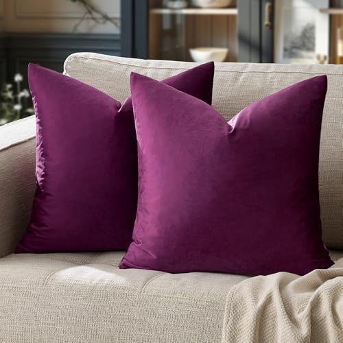 Velvet Pillow Covers 16x16 Decorative Pillows Pack of 2 Purple (Purple / 16" x 16" (Pack of 2))