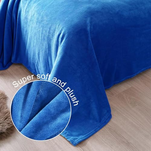 Soft Fleece Blanket Queen Size for Bed (Cobalt Blue / Queen (90" x 90"))