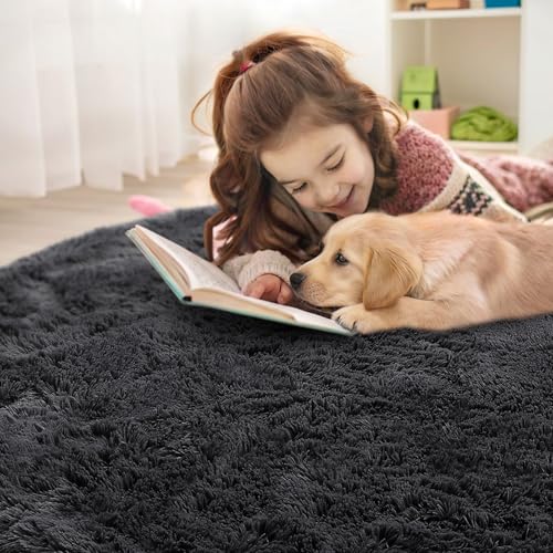 Black Round Rugs for Bedroom (4 Ft Round / Black)
