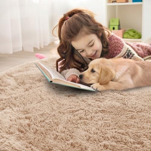 Beige Round Rugs for Bedroom (6 Ft Round / Beige)