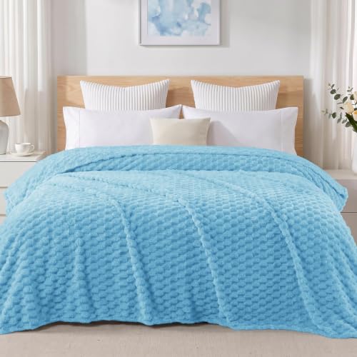 3D Fleece Twin Size Blanket for Bed (Blue / Twin ( 60x80 IN ))