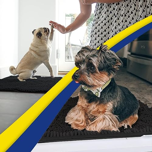 Super Water Absorbent Door Mat Indoor (Black / 24" x 36")