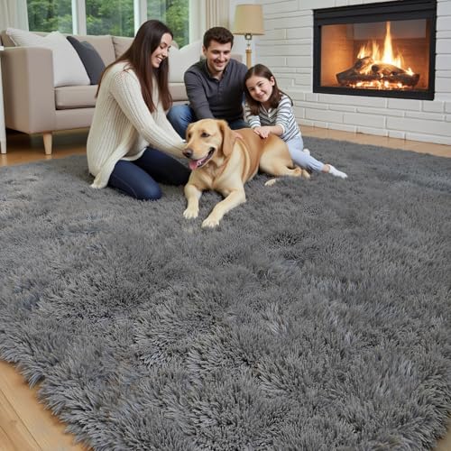 5x8 Dark Grey Shag Area Rug for Living Room (Dark Grey / 5' x 8' (Rectangular))