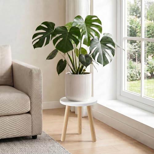 Wood Plant Stands Indoor (White)