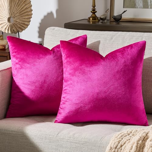 Hot Pink Velvet Pillow Covers 18x18 Decorative Pillows Pack of 2 (Hot Pink / 18" x 18" (Pack of 2))