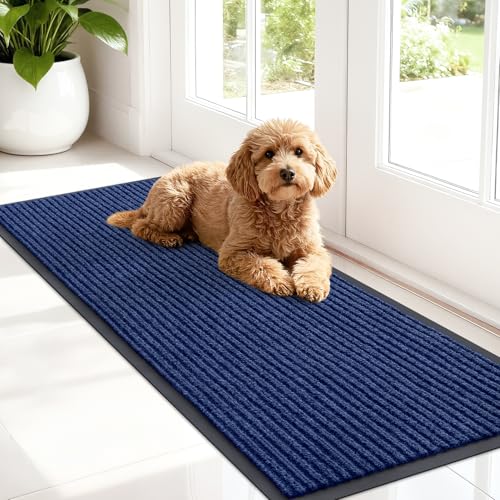 Front Door Mat 47x17 (Blue / 47" X 17")