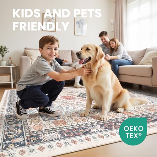 5x7 Area Rugs for Living Room (Multi Color / 5' x 7' (Rectangular))